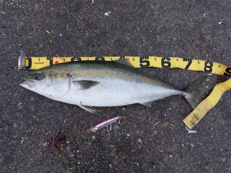 プチsalt water game