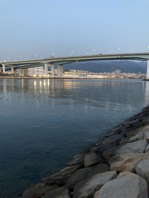 今シーズン初青物。メジロゲット！