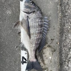 イチノ兄弟、釣果!