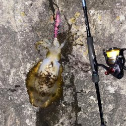 今年は当たり年！？