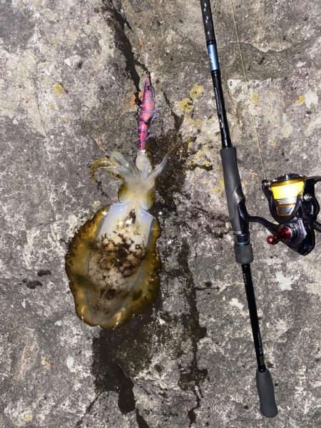 今年は当たり年!?