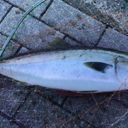 波穏やかな南港