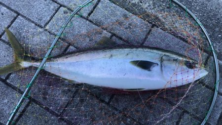 波穏やかな南港