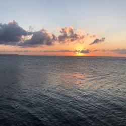 本日も複数安打。