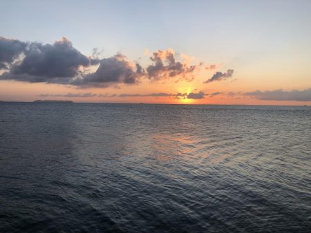 本日も複数安打。