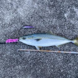 横から飛んできたー!