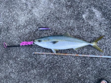 横から飛んできたー！