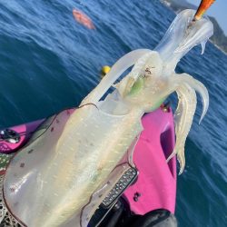 またティップランで