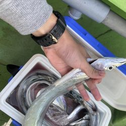 秋タチウオ数型よし