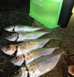 五種目達成ならず