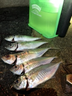 五種目達成ならず