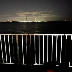 太刀魚釣りの予定が!!