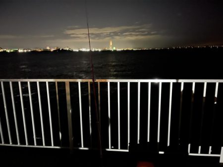 太刀魚釣りの予定が!!