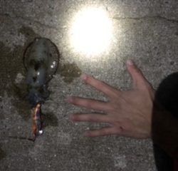 渋すぎやしませんか？