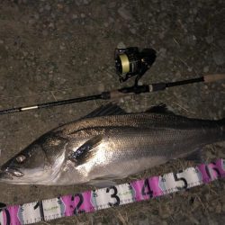 ががっときました。