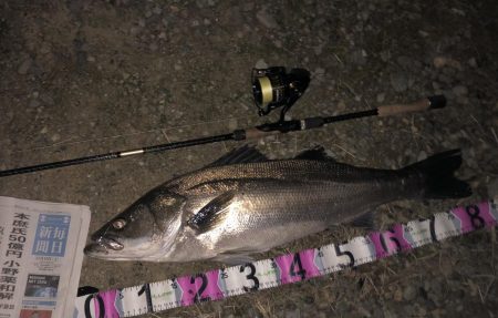 ががっときました。