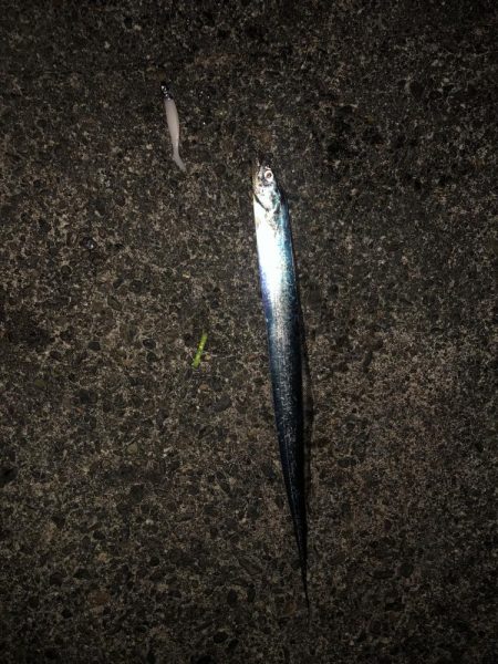 マイクロベイトパターン攻略?