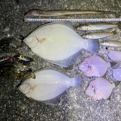 カレイと五目釣り