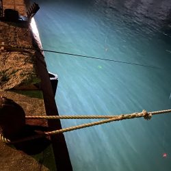 釣果よりも風裏を求めて