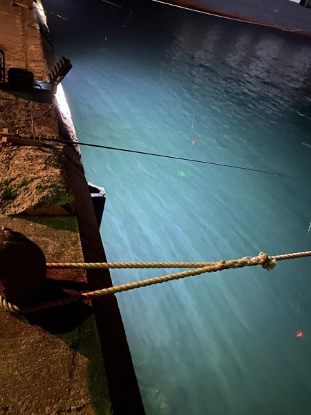 釣果よりも風裏を求めて