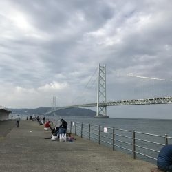 カレイ不発。五目つり