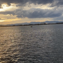 名古屋港でアナゴ釣り