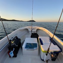 レンタルボートでいろいろ