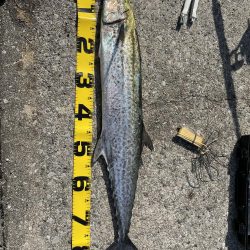 アウェイでミラクル3目釣り‼️‼️