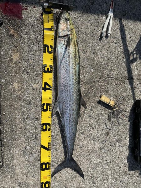 アウェイでミラクル3目釣り‼…