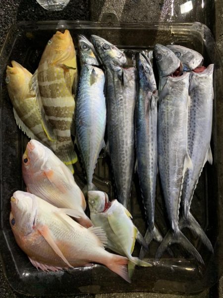 マイボートで若狭湾でジギング、タイラバ釣行