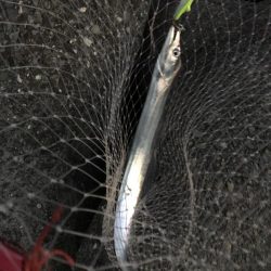 予想外、でも嬉しい