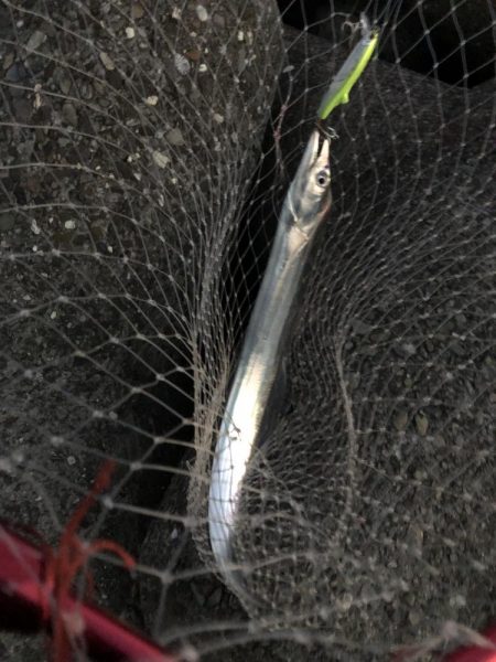 予想外、でも嬉しい