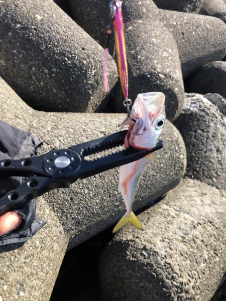 フォールで当たりを取る楽しさ