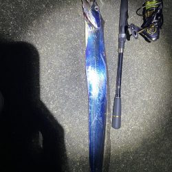 ついでの太刀魚が…