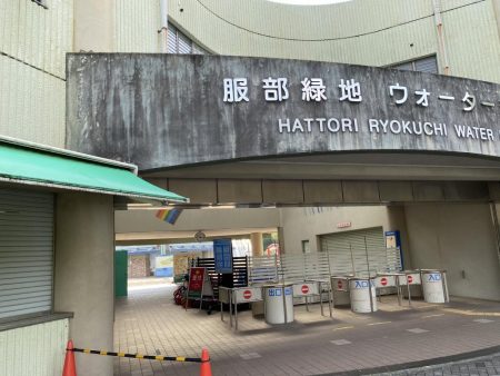 放流翌日の服部緑地