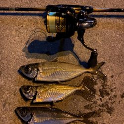 渋いながらも鱗付け