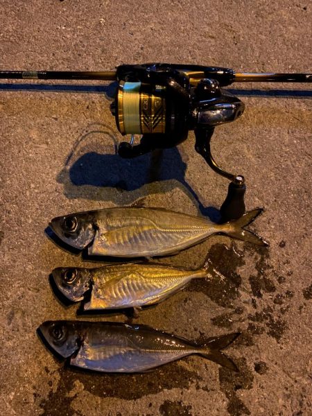 渋いながらも鱗付け