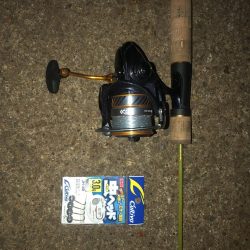 虫ヘッド最強説