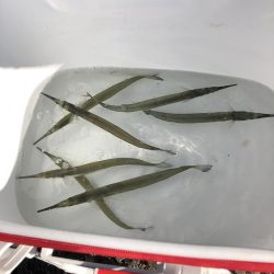 波止フカセ釣り