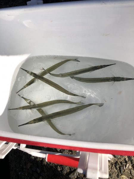 波止フカセ釣り