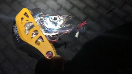 南港で刀狩り！