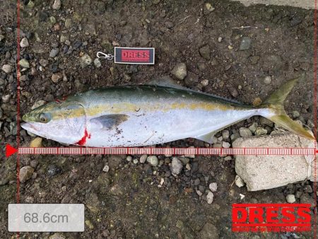 湾奥まで来たよ