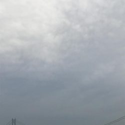 おせんしか勝たん