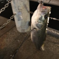 南港　夕方から、