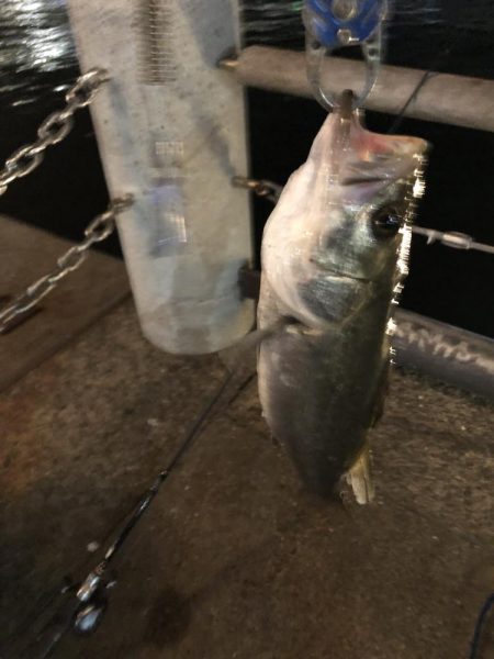 南港　夕方から、