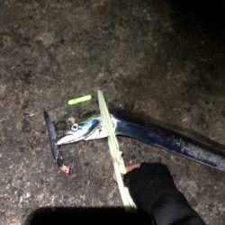 太刀魚F3サイズ