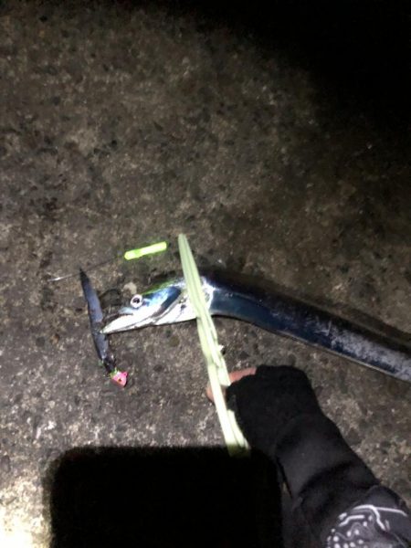 太刀魚F3サイズ