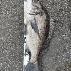 イチノ兄弟、釣果！