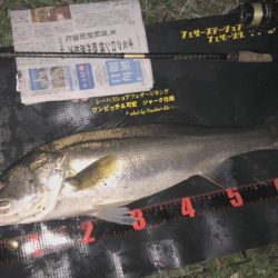 ががっときました。