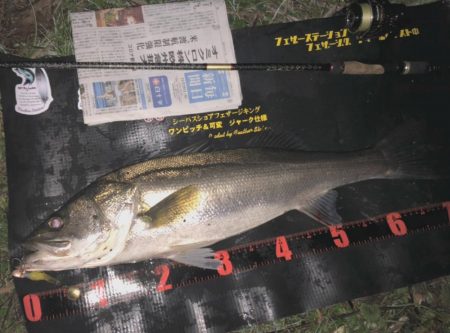 ががっときました。